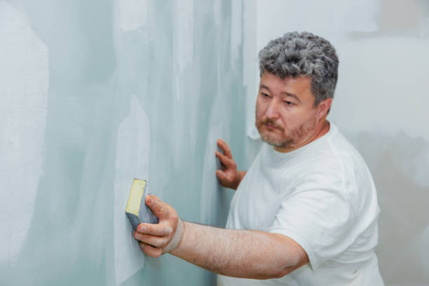 Best Black Mold Removal  in Bridgewater Center, NJ
