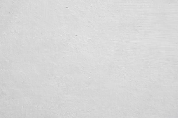 Best Black Mold Removal  in Bridgewater Center, NJ