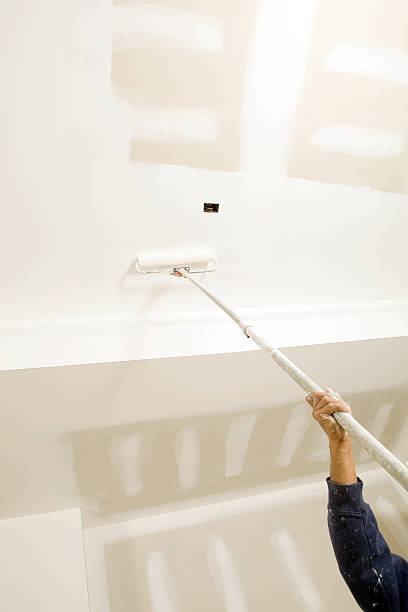 Best Mold Documentation for Insurance Claims  in Bridgewater Center, NJ