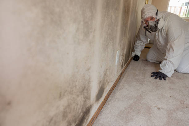 Dehumidification Services in Bridgewater Center, NJ