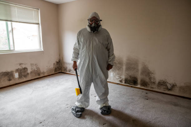 Best Comprehensive Air Testing for Mold Contaminants  in Bridgewater Center, NJ