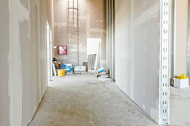 Best Post-Construction Mold Inspection  in Bridgewater Center, NJ