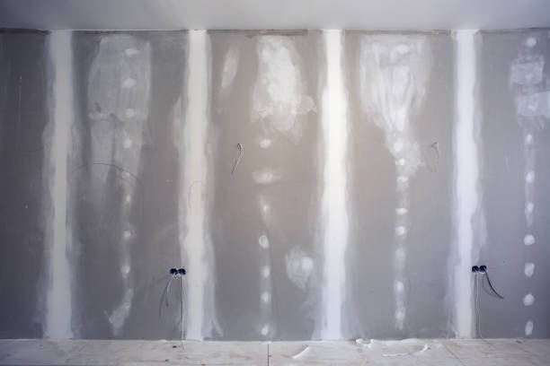 Mold Remediation for Vacation Homes in Bridgewater Center, NJ